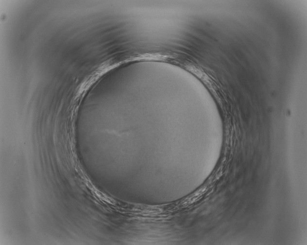 X0000087700337200705181825