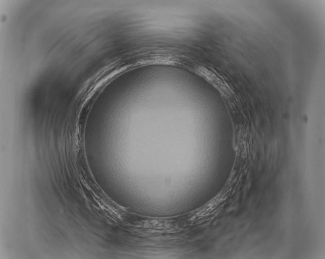 X0000087700338200705181825