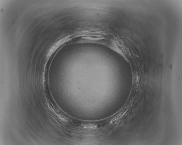 X0000087700340200705181825