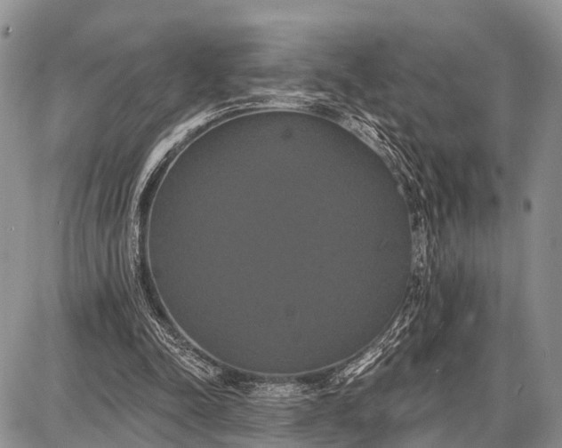 X0000087700342200705181825