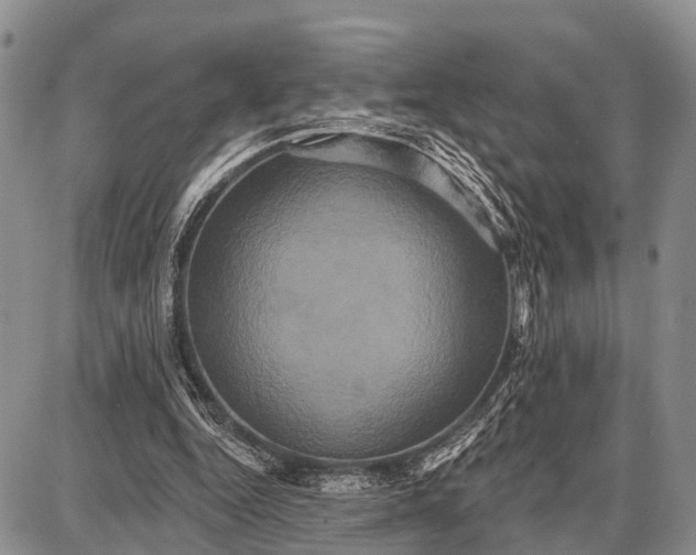X0000087700344200705181825