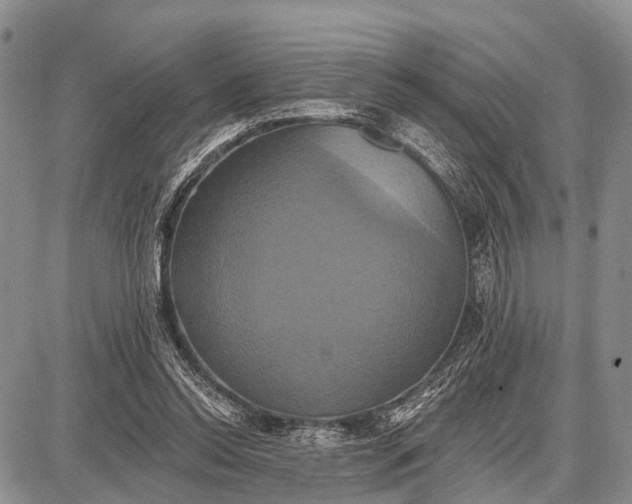 X0000087700350200705181825