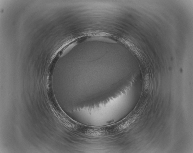 X0000087700351200705181825