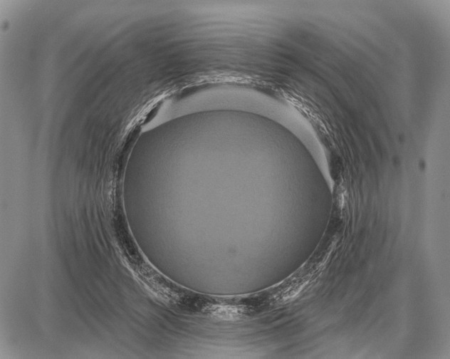 X0000087700352200705181825