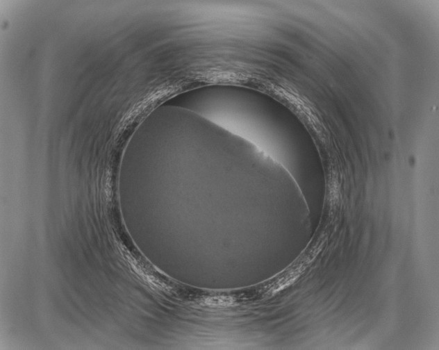 X0000087700353200705181825