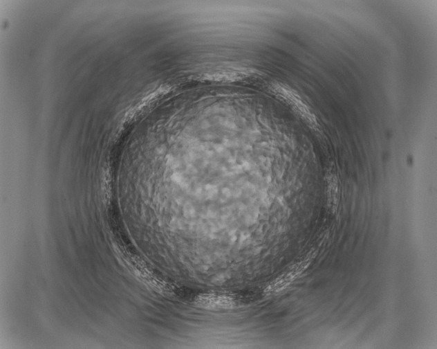 X0000087700354200705181825
