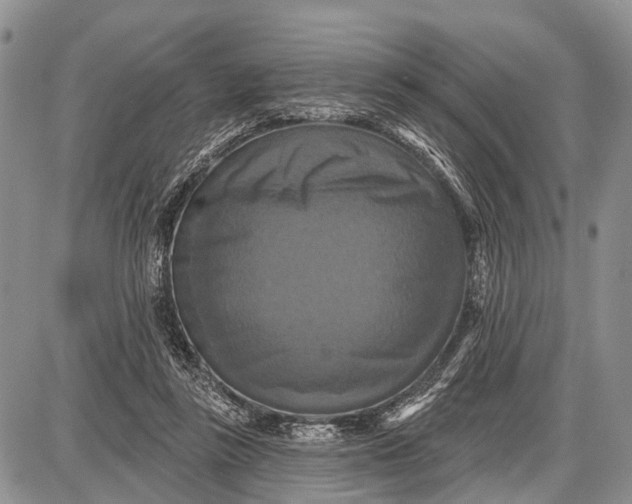 X0000087700355200705181825