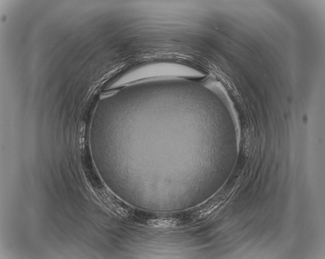 X0000087700356200705181825