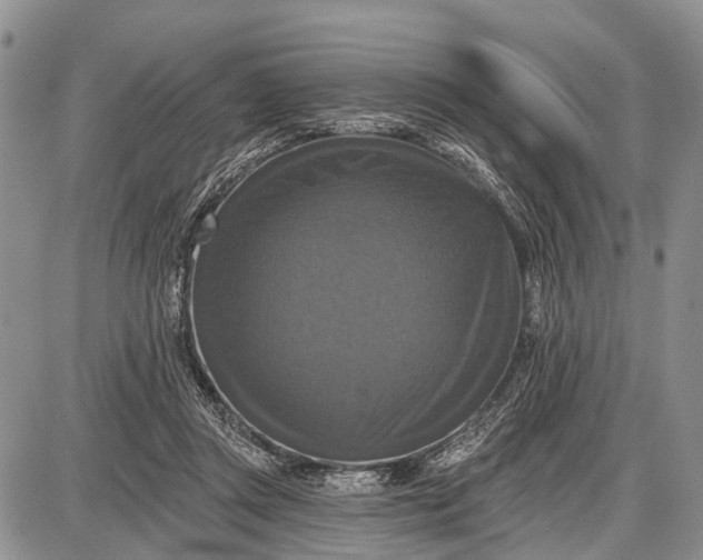X0000087700357200705181825
