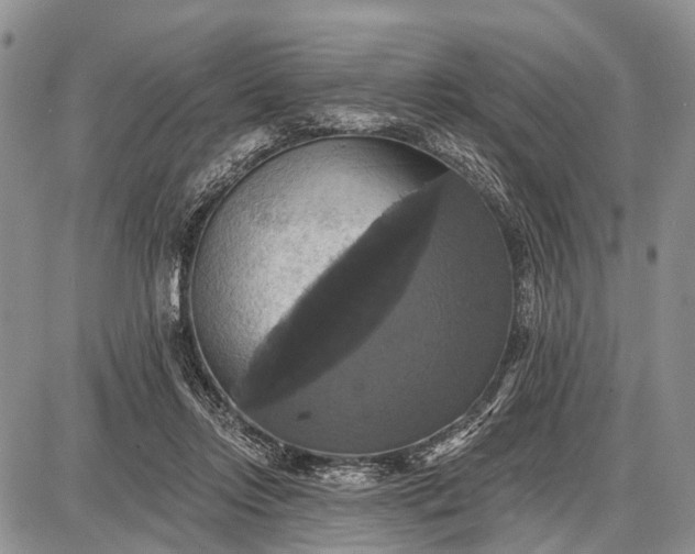 X0000087700358200705181825