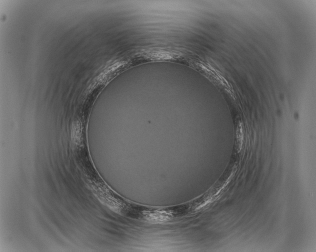 X0000087700359200705181825