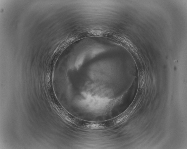 X0000087700365200705181825