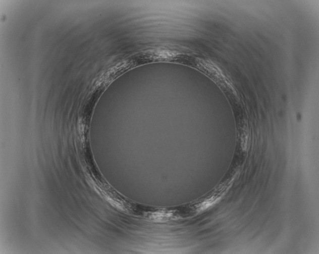 X0000087700366200705181825