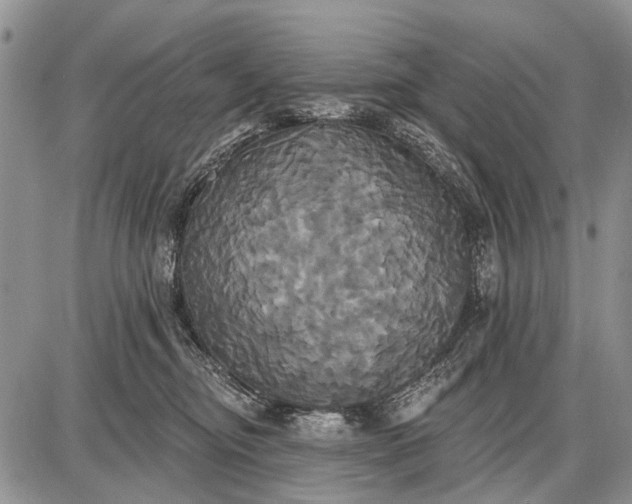 X0000087700374200705181826