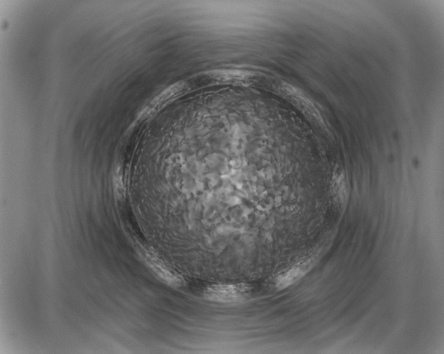 X0000087700381200705181826