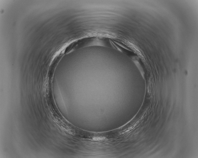 X0000087700388200705181825