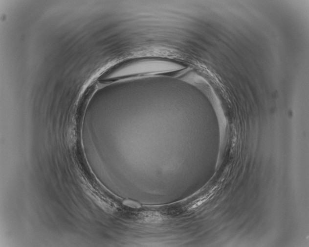 X0000087700392200705181825