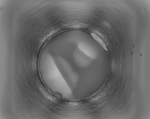 X0000087700394200705181825