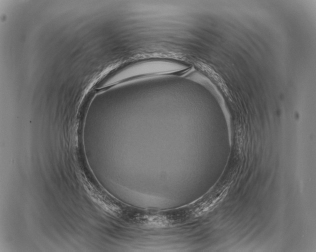 X0000087700395200705181825