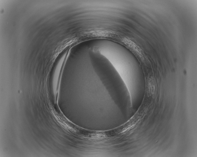 X0000087700398200705181825