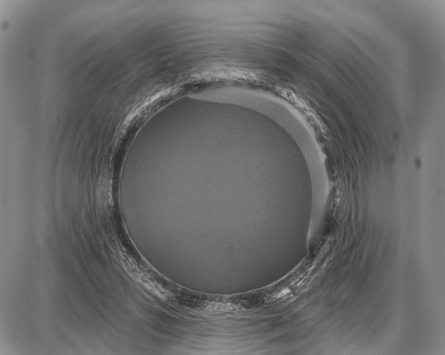 X0000087700399200705181825