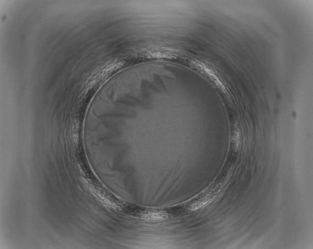 X0000087700402200705181825