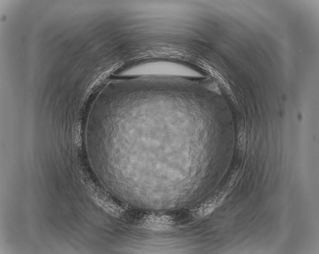 X0000087700403200705181825