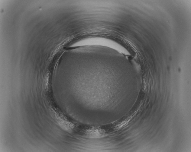 X0000087700404200705181825