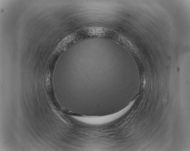X0000087700408200705181825