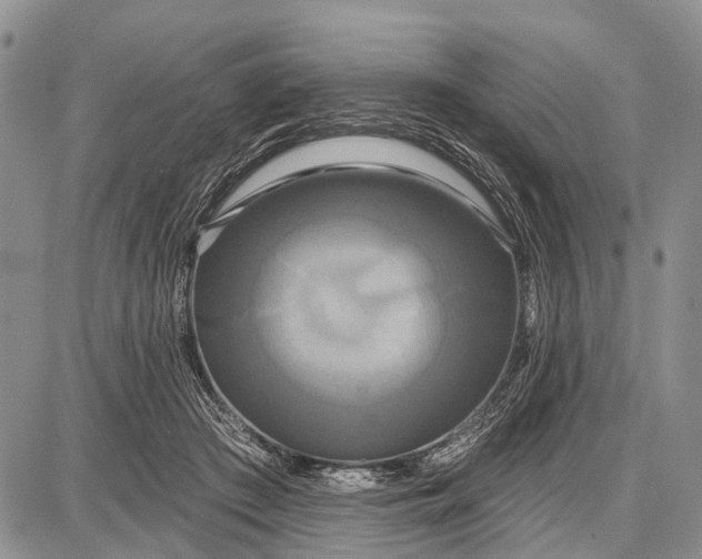 X0000087700409200705181825