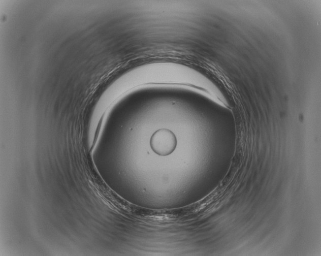 X0000087700411200705181824