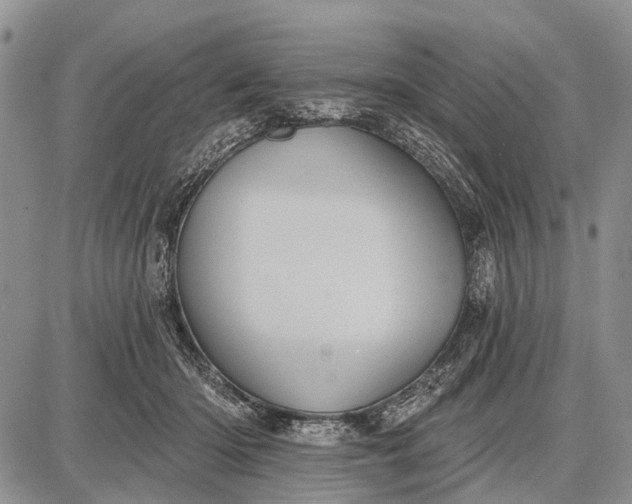 X0000087700414200705181824