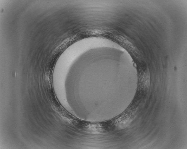 X0000087700415200705181824