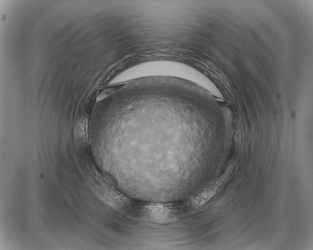 X0000087700425200705181824