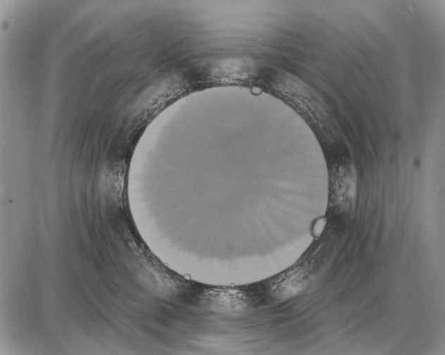 X0000087700427200705181824