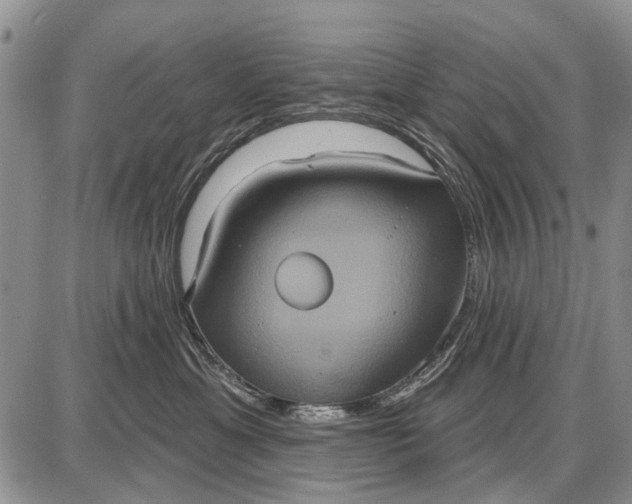 X0000087700429200705181824