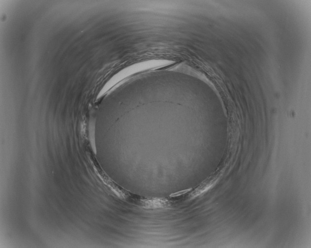 X0000087700432200705181824