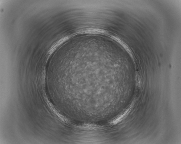 X0000087700437200705181823
