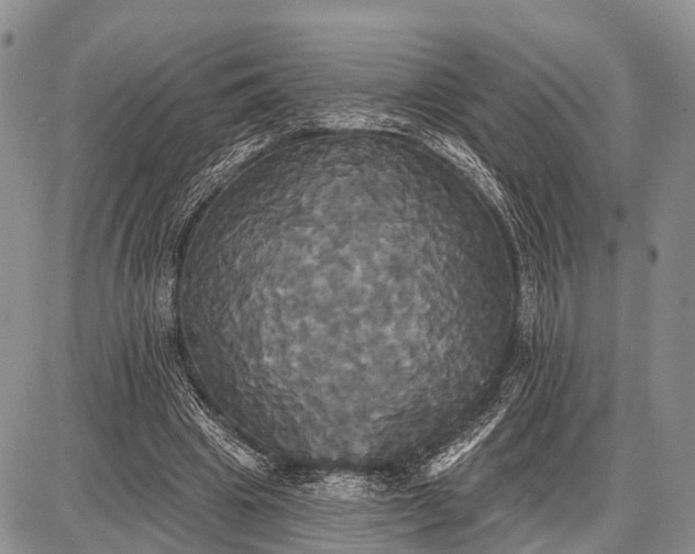 X0000087700441200705181823