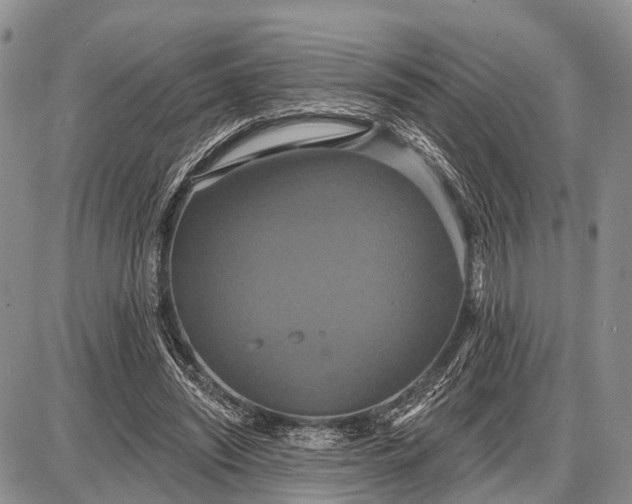 X0000087700444200705181824