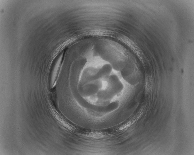 X0000087700445200705181824