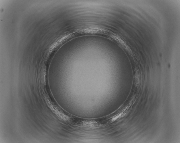 X0000087700446200705181824