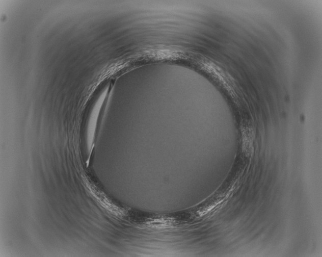 X0000087700447200705181824
