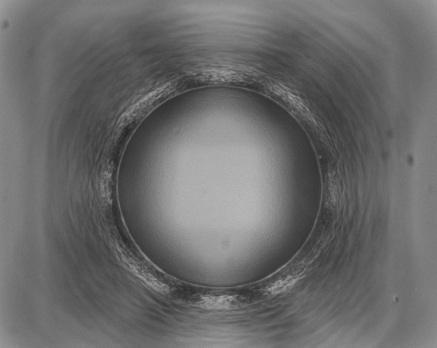 X0000087700450200705181824