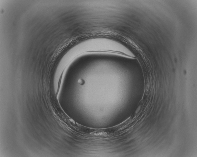X0000087700452200705181824