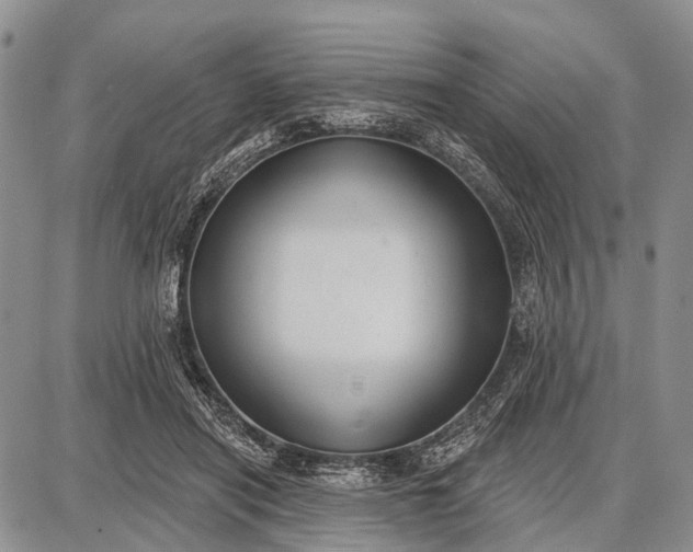 X0000087700454200705181824