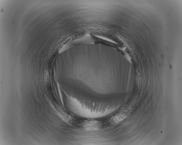 X0000087700459200705181824