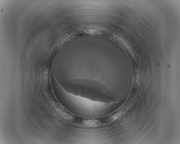 X0000087700461200705181824