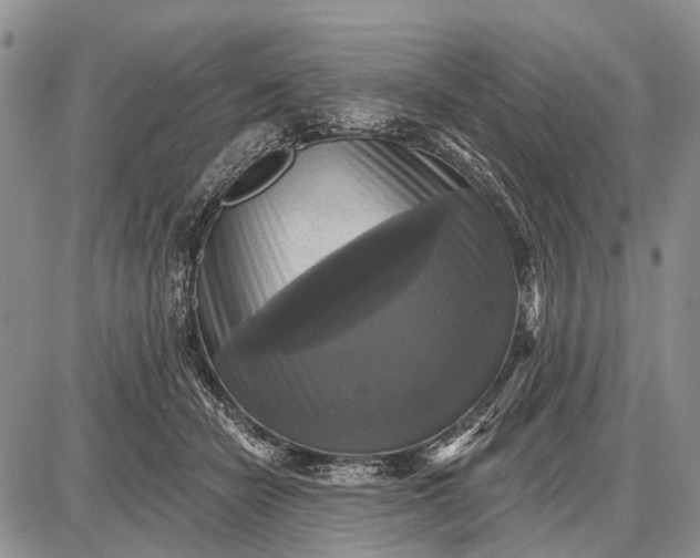 X0000087700462200705181824