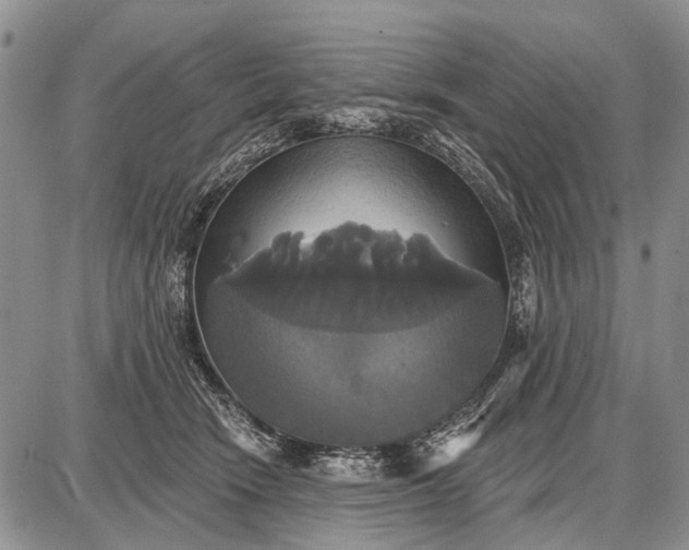 X0000087700466200705181824